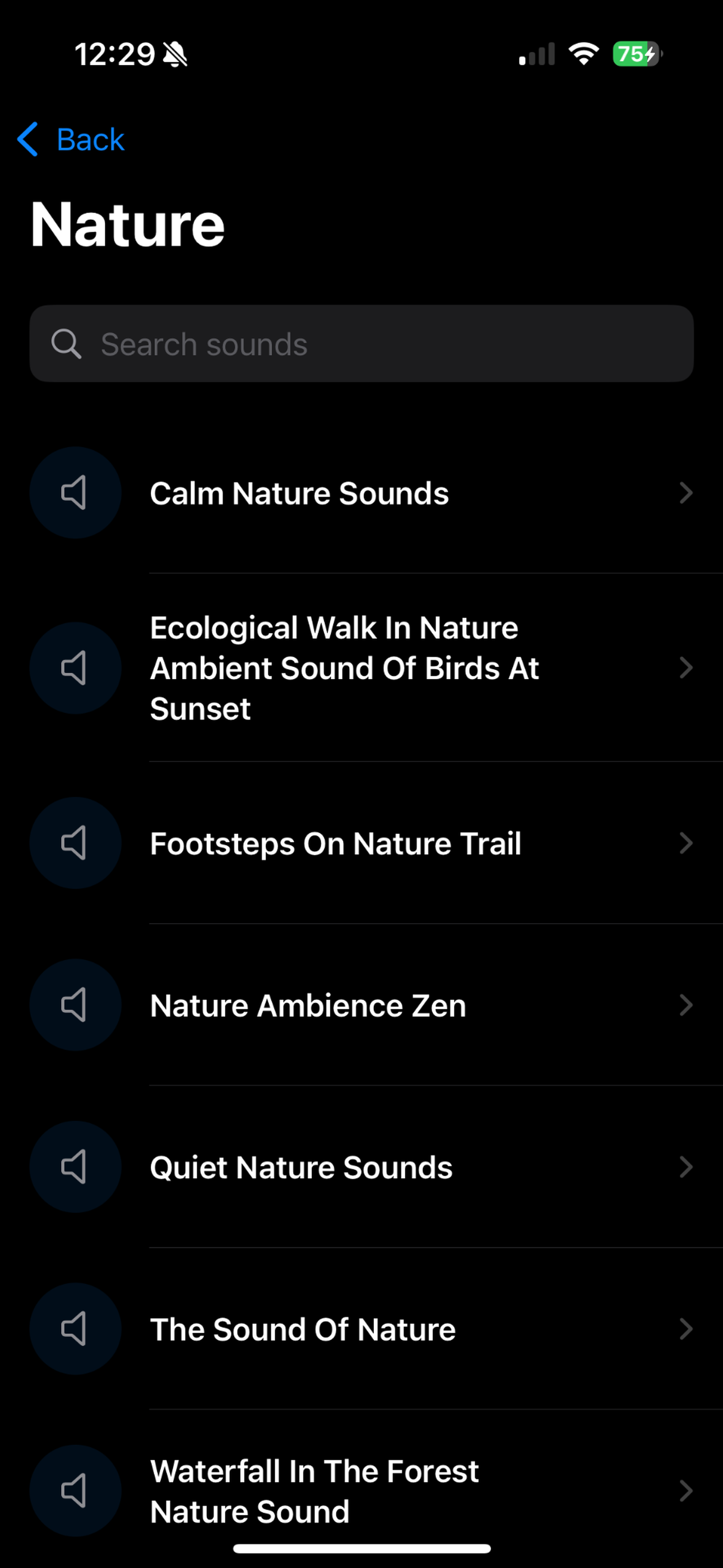 Sound Player View
